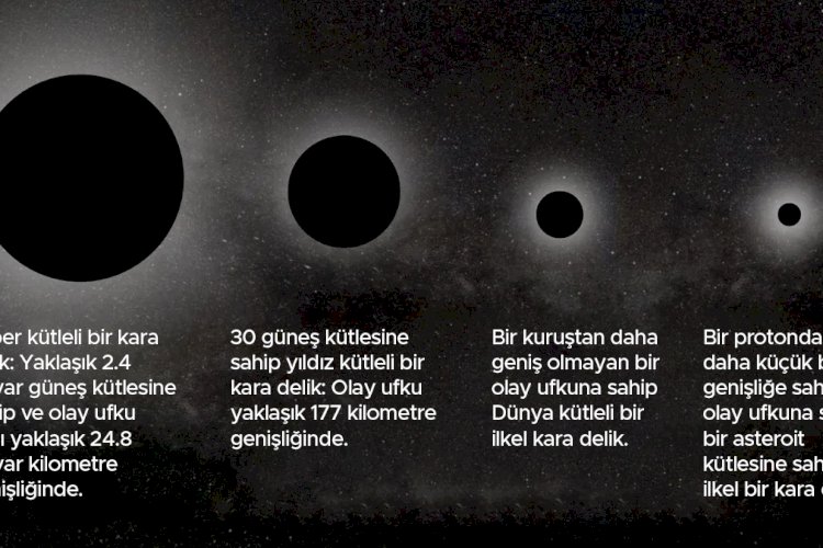 Kara Delik Türleri