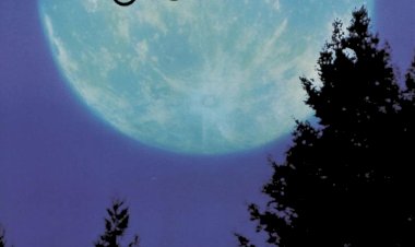 Steven Spielberg’in “E.T. Extra-Terrestrial” (1982) Filmi Üzerine