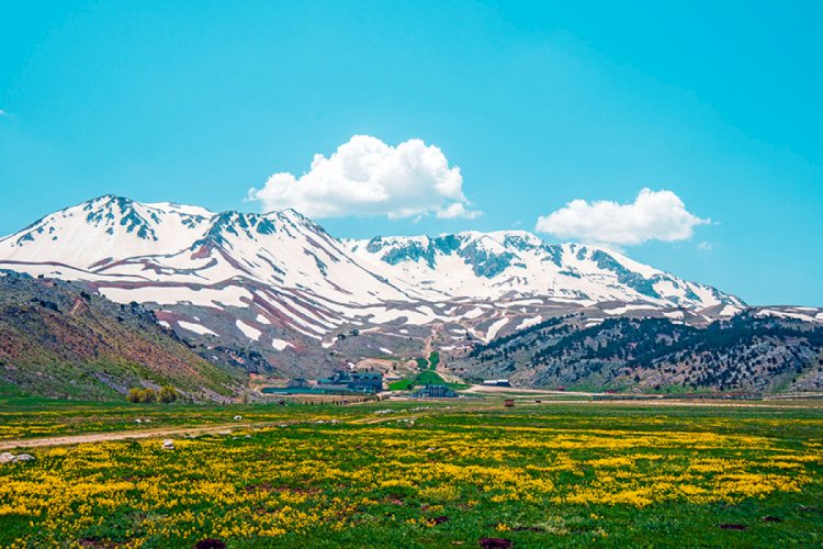 Denize paralel uzanan dağlarımız hangi bölgededir?