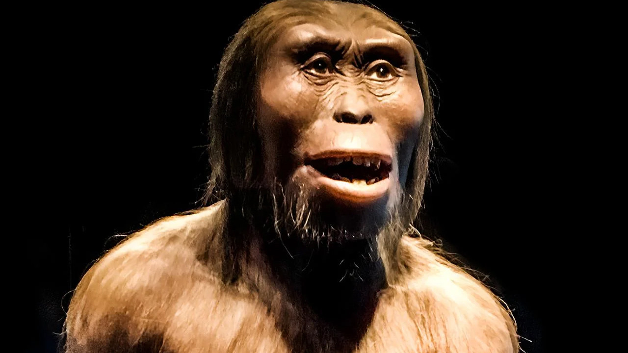 Tarihi değiştiren keşif: İnsanlığın "kayıp halkası" Lucy tahtından iniyor mu?